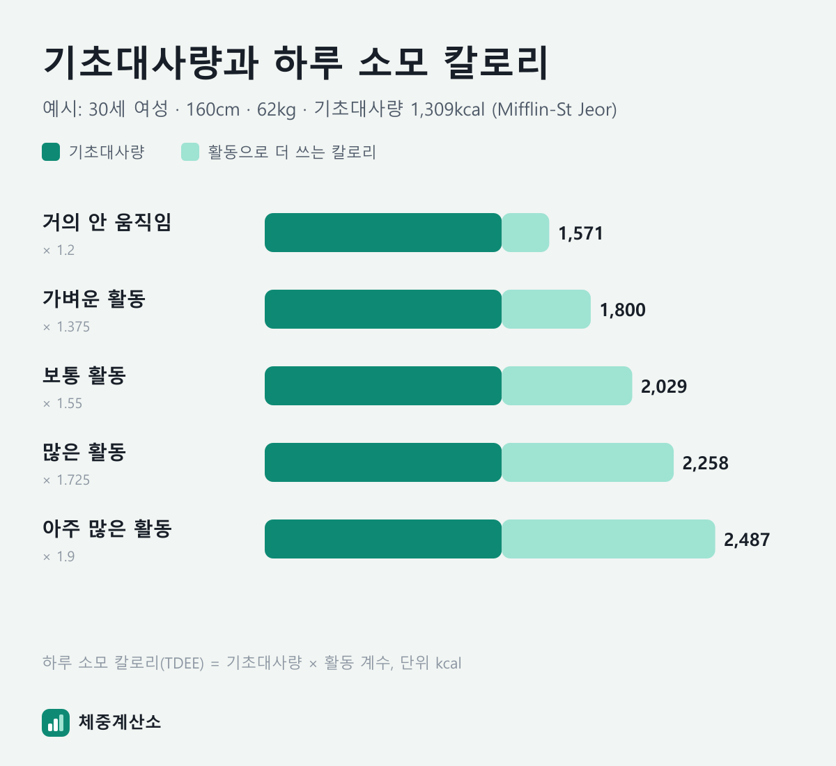 기초대사량과 하루 소모 칼로리 그래프: 30세 여성 160cm 62kg 기초대사량 1,309kcal, 활동량별 하루 소모 칼로리 1,571~2,487kcal